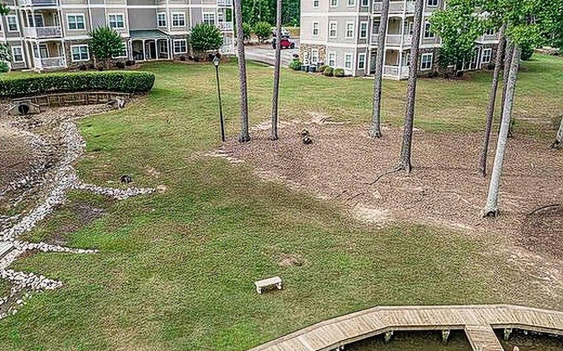 Photo of Outdoor in Milledgeville