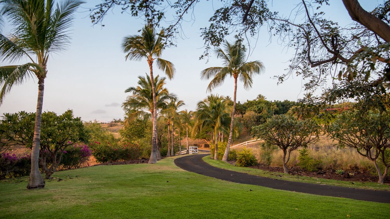 Photo of Outdoor in Kamuela