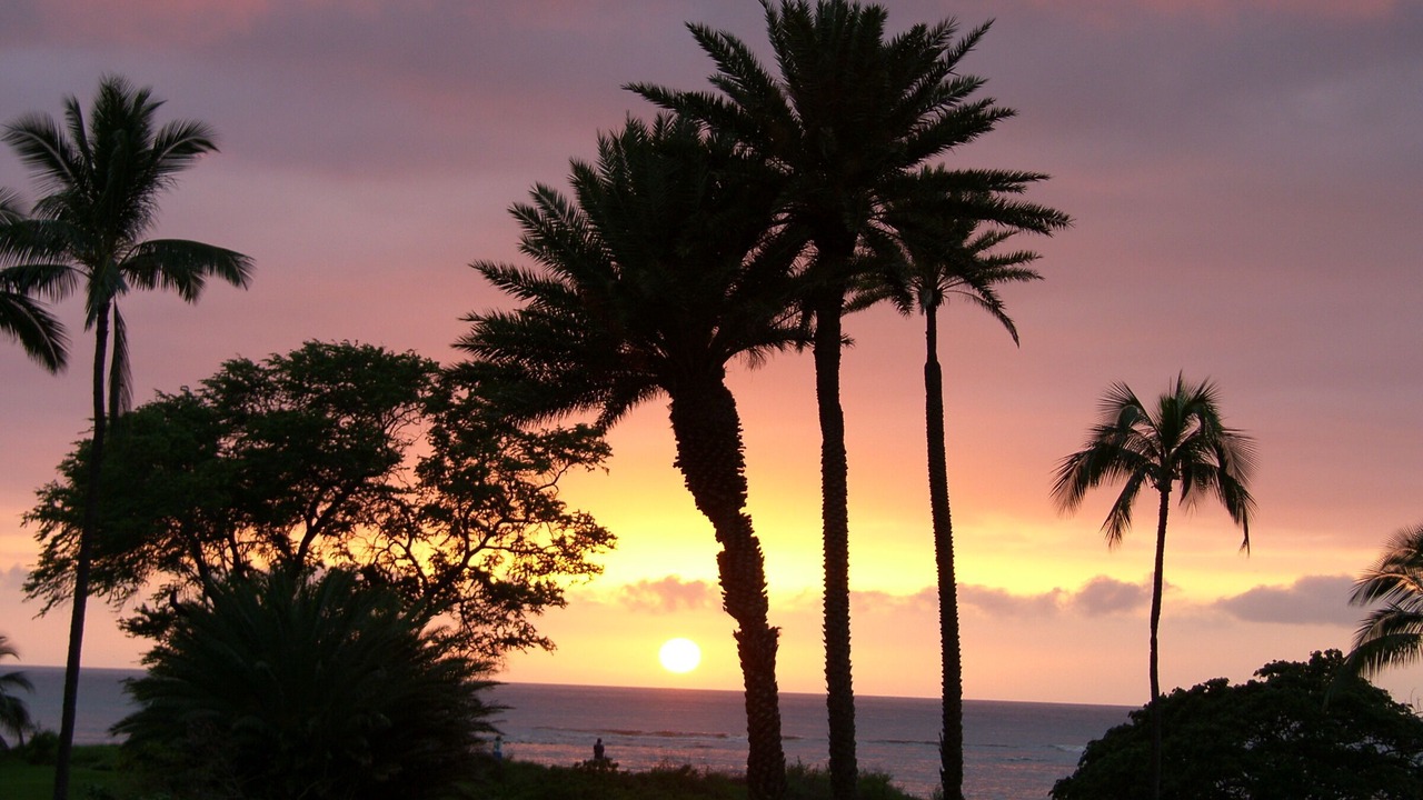 Photo of Others in Hana