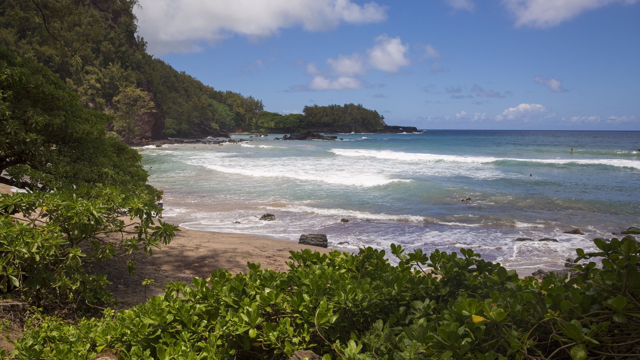 Photo of Others in Hana
