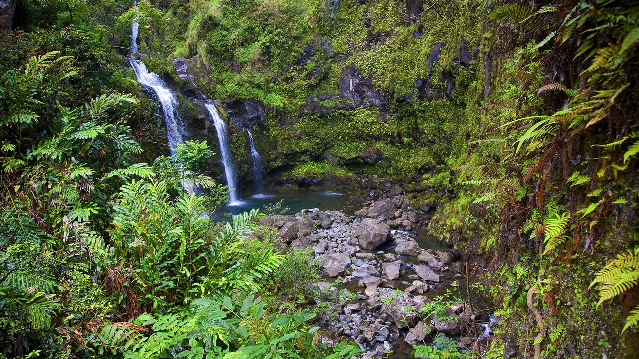 Photo of Outdoor in Hana