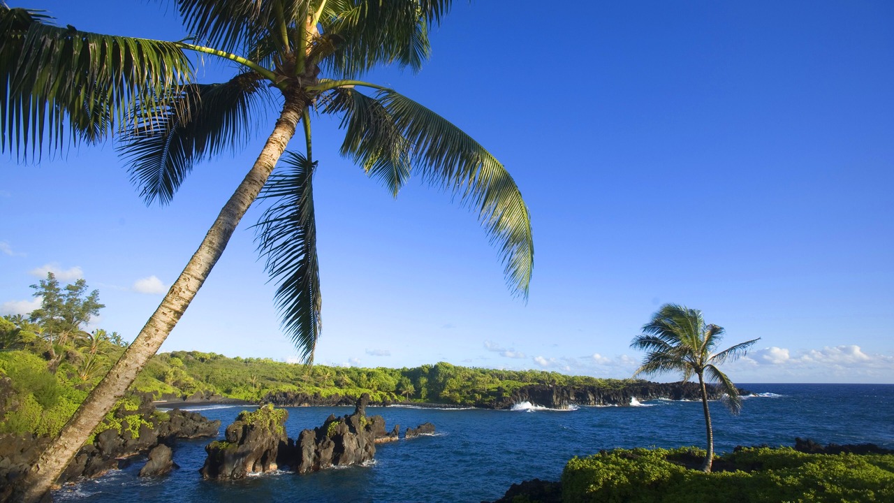 Photo of Others in Hana