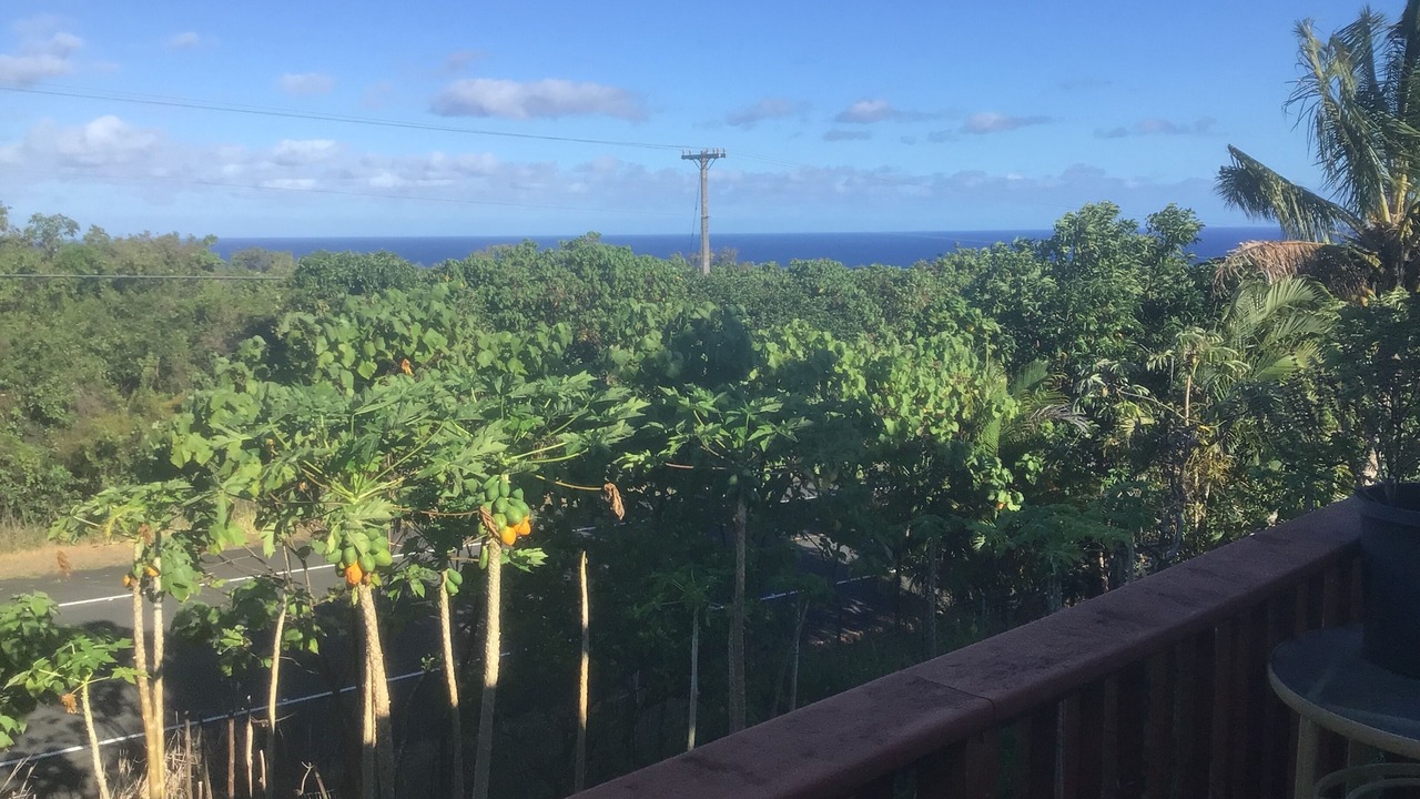 Photo of Outdoor in Pahoa