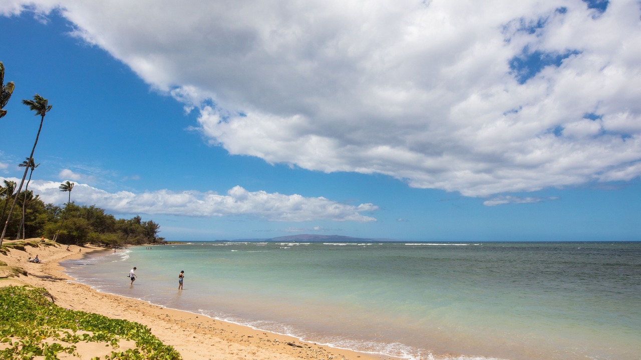 Photo of Others in Kihei