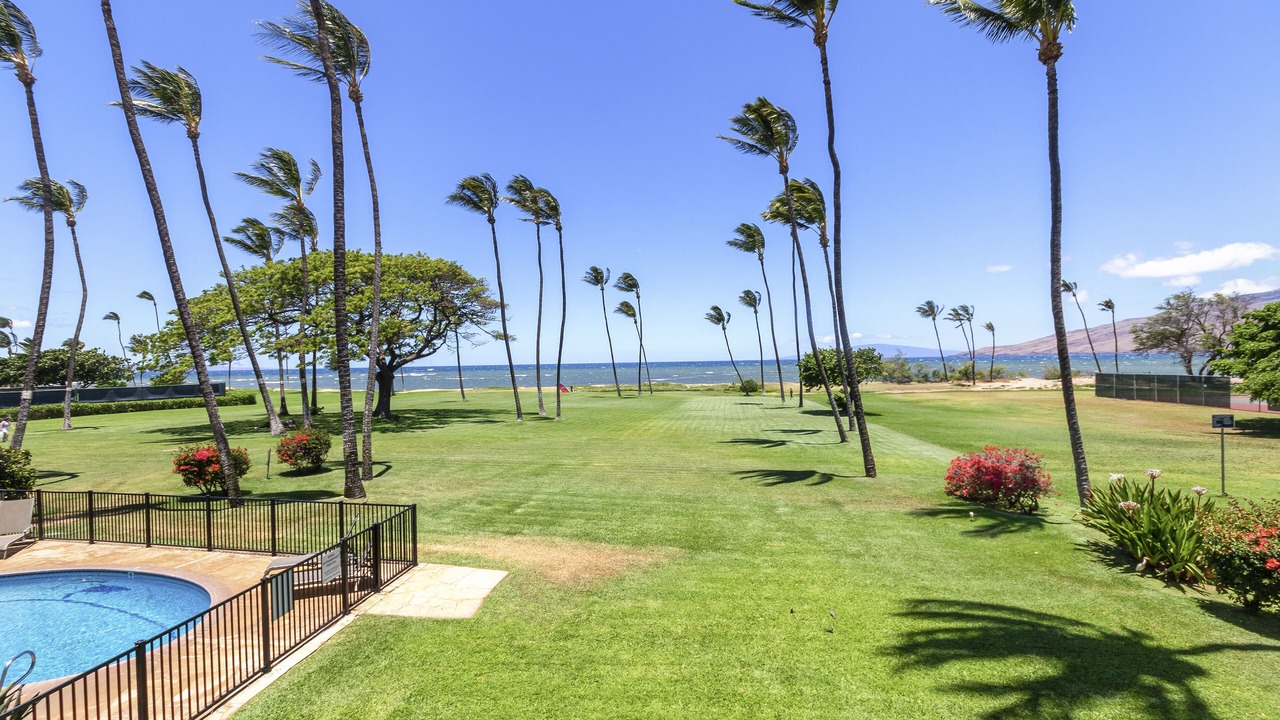 Photo of Outdoor in Kihei
