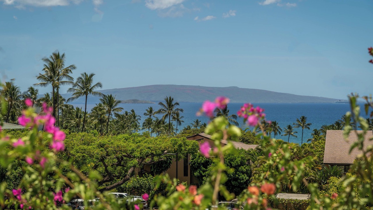 Photo of Others in Wailea