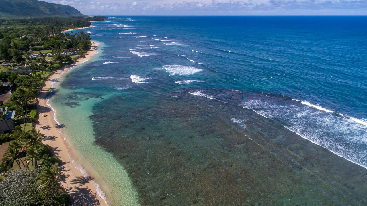 Photo of Others in Mokuleia