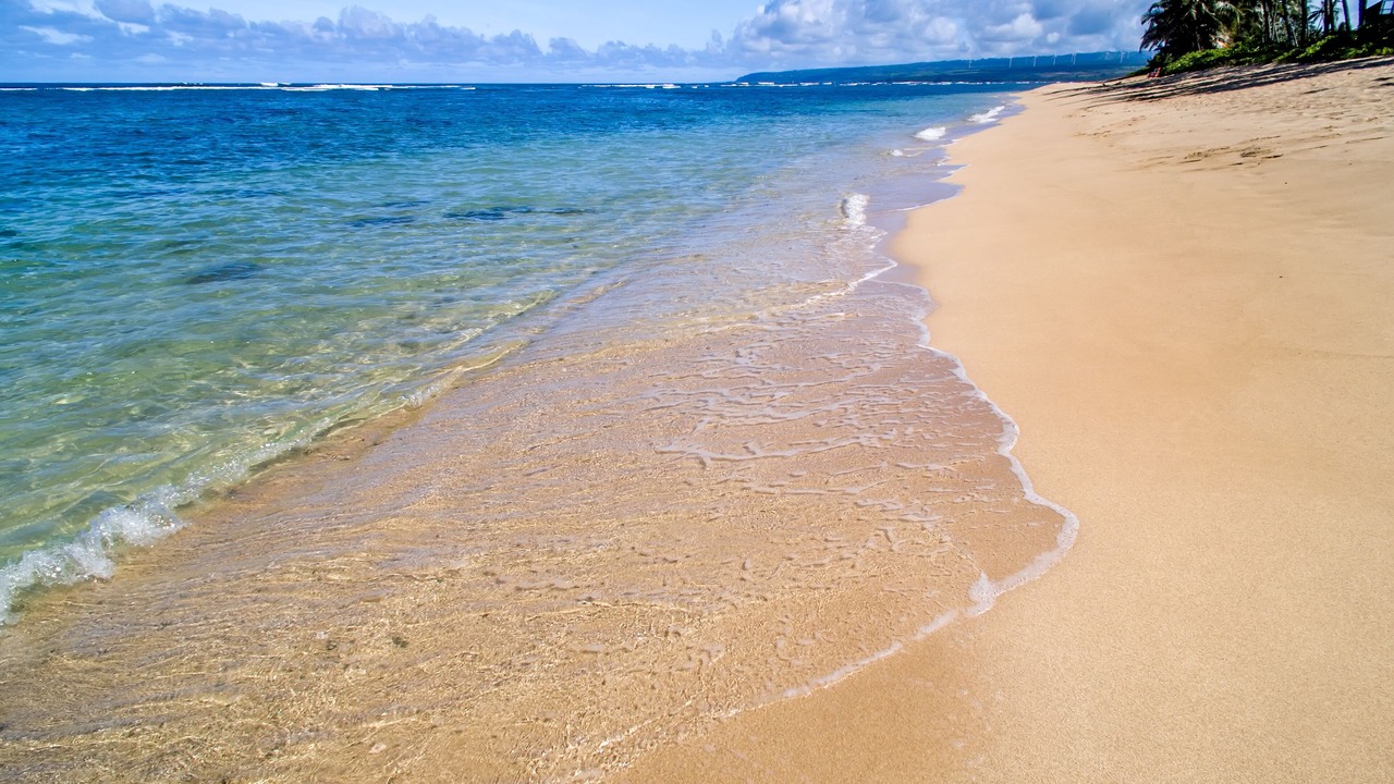 Photo of Others in Mokuleia