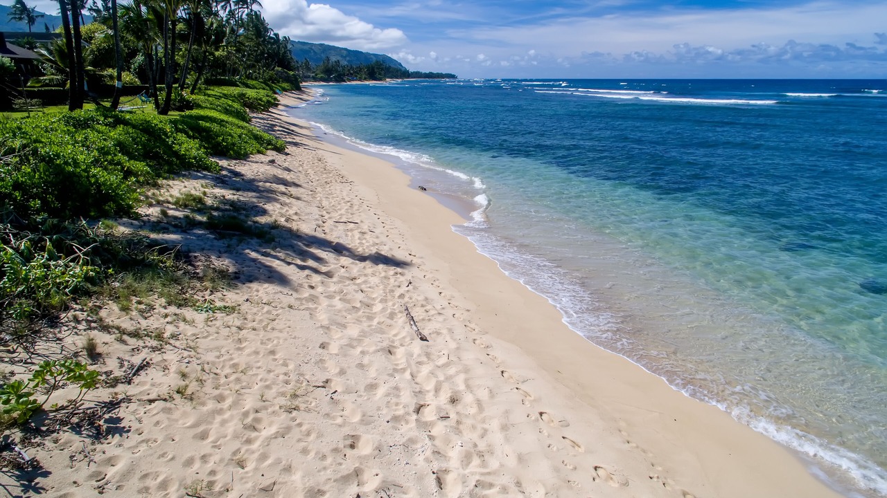 Photo of Others in Mokuleia