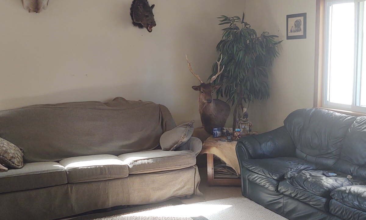 Photo of Livingroom in McCormick