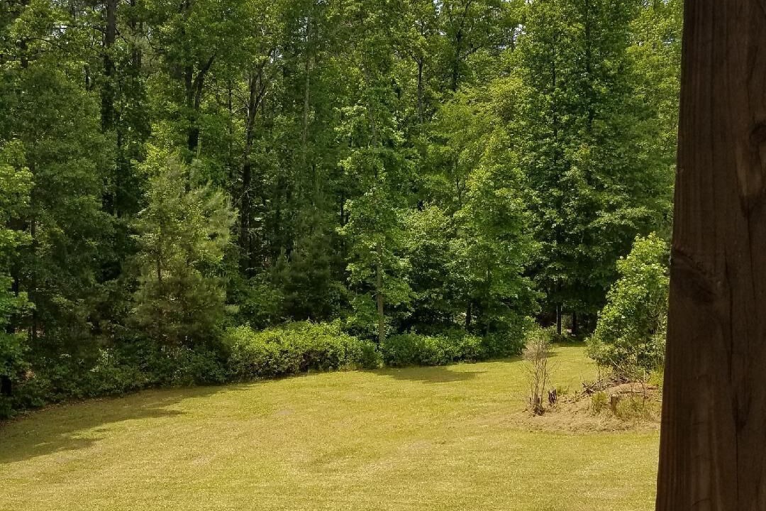 Photo of Outdoor in McCormick