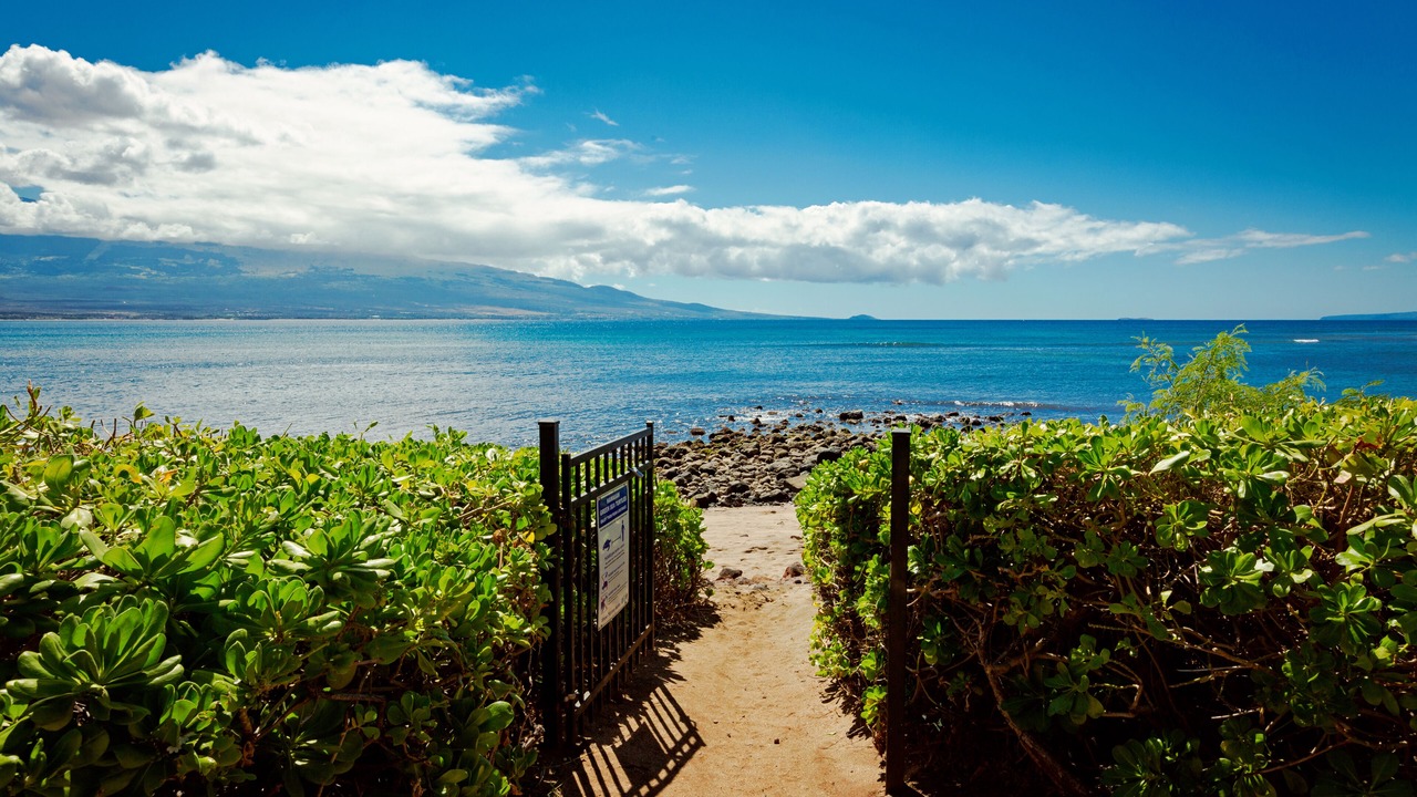 Photo of Others in Maalaea