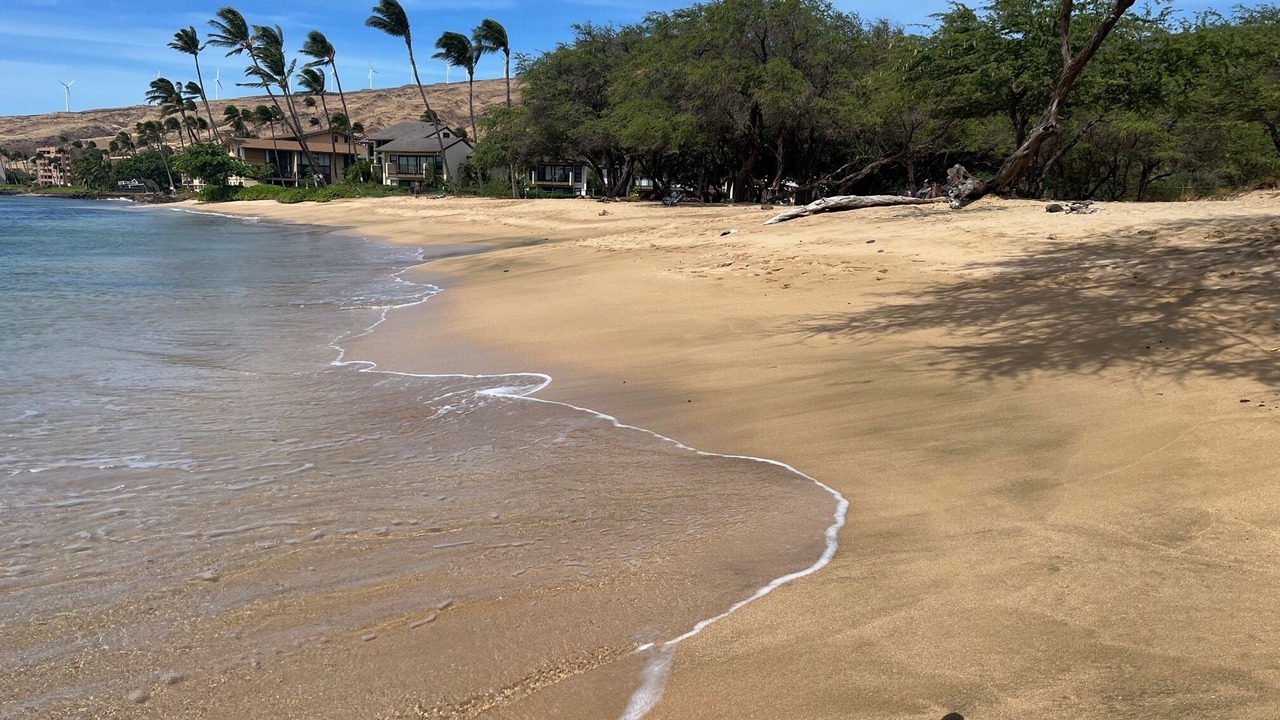 Photo of Others in Maalaea