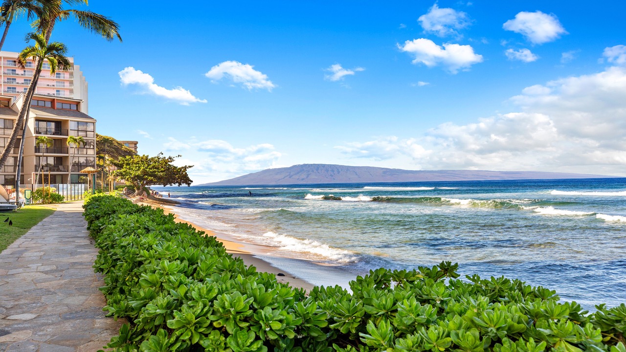 Photo of Others in Historic Lahaina Front Street