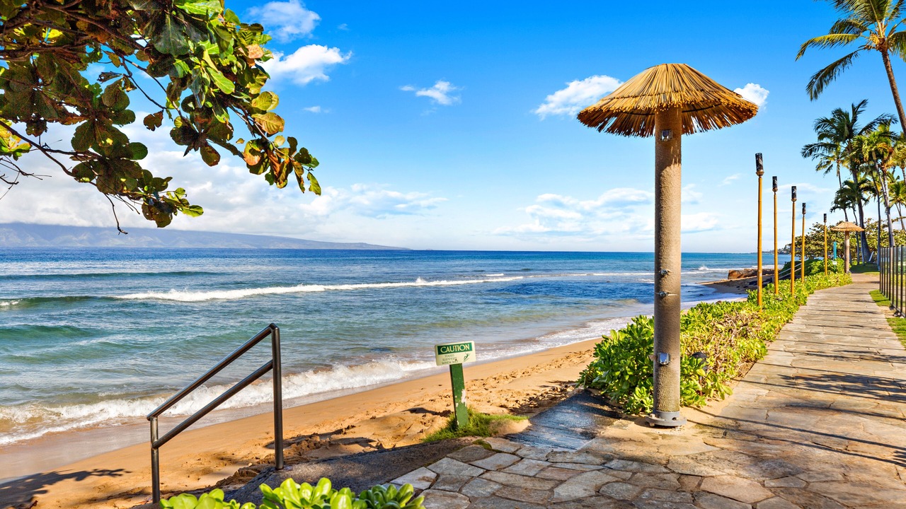 Photo of Others in Historic Lahaina Front Street