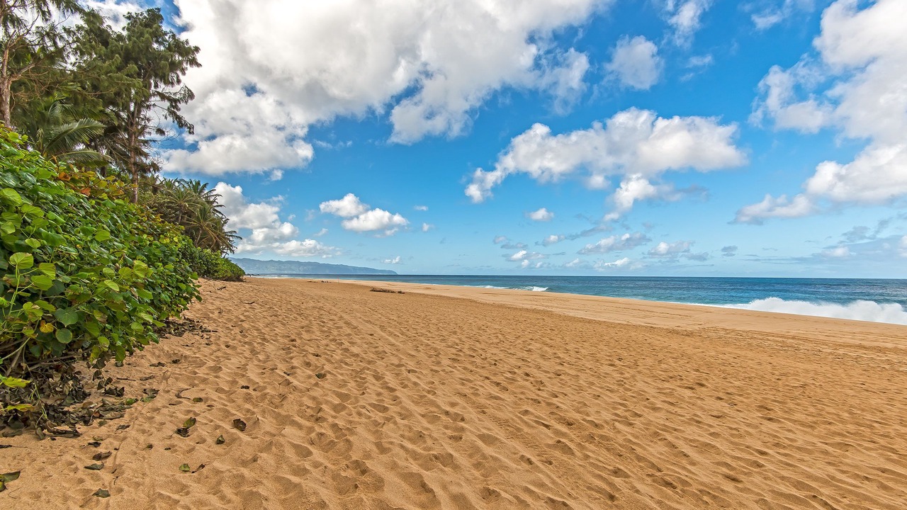 Photo of Others in Pupukea