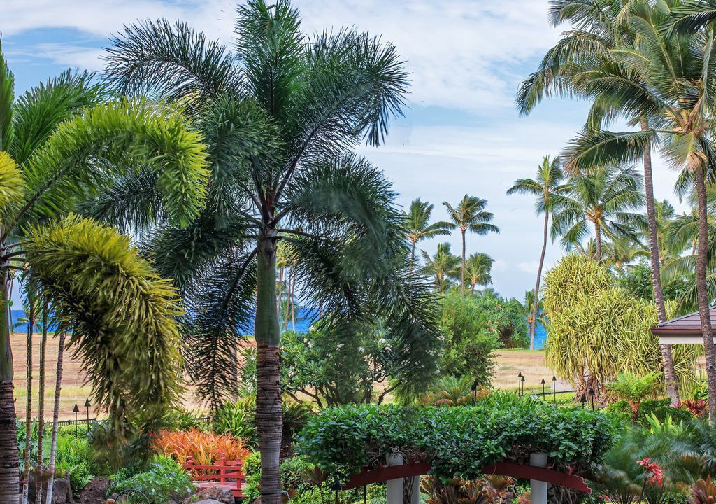 Photo of Others in Ko Olina
