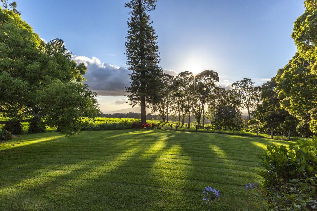 Photo of Outdoor in Makawao