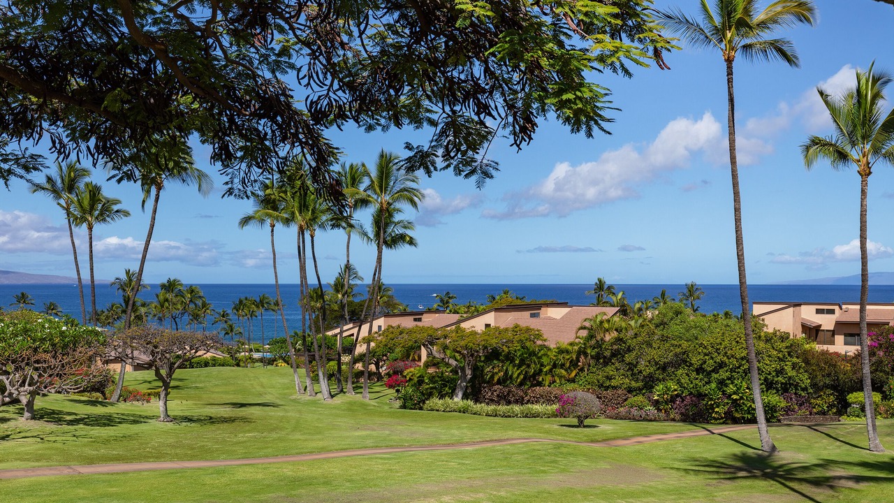 Photo of Outdoor in Wailea