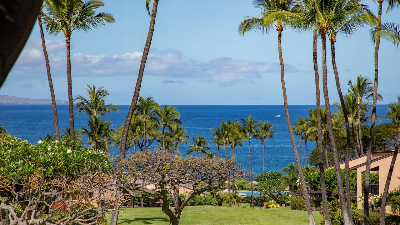 Photo of Outdoor in Wailea