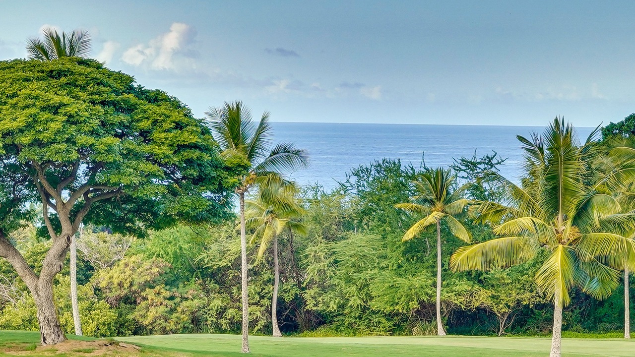 Photo of Others in Keauhou