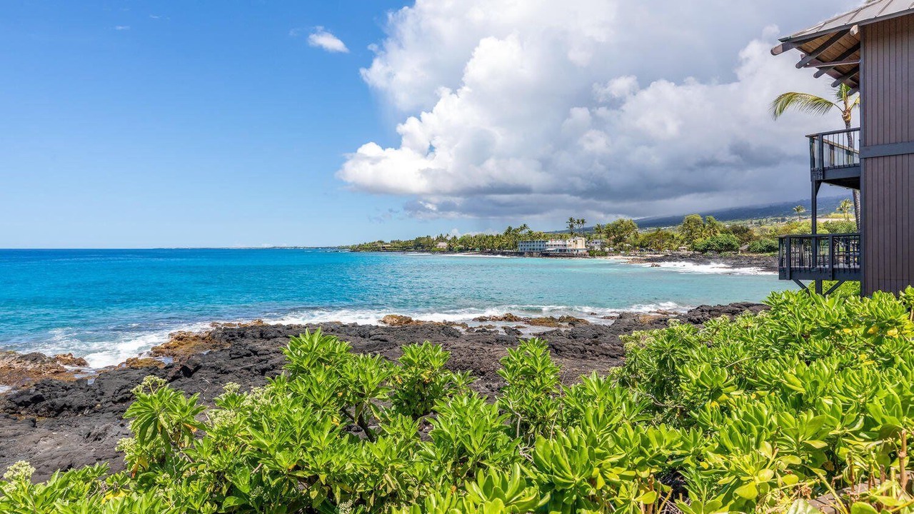 Photo of Others in Kahaluu Bay