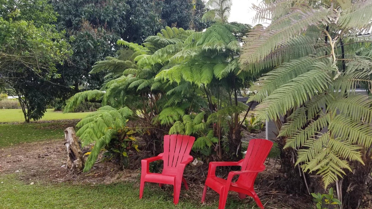 Photo of Others in Hilo
