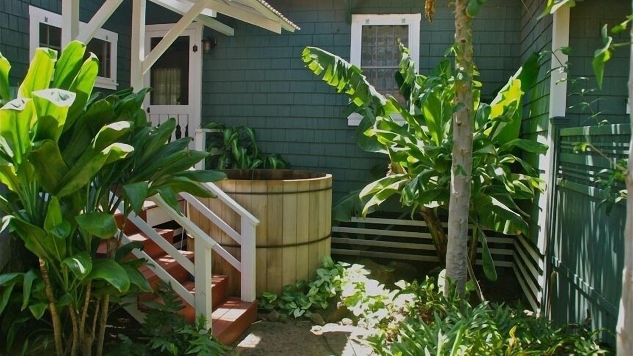 Photo of Outdoor in Hawi