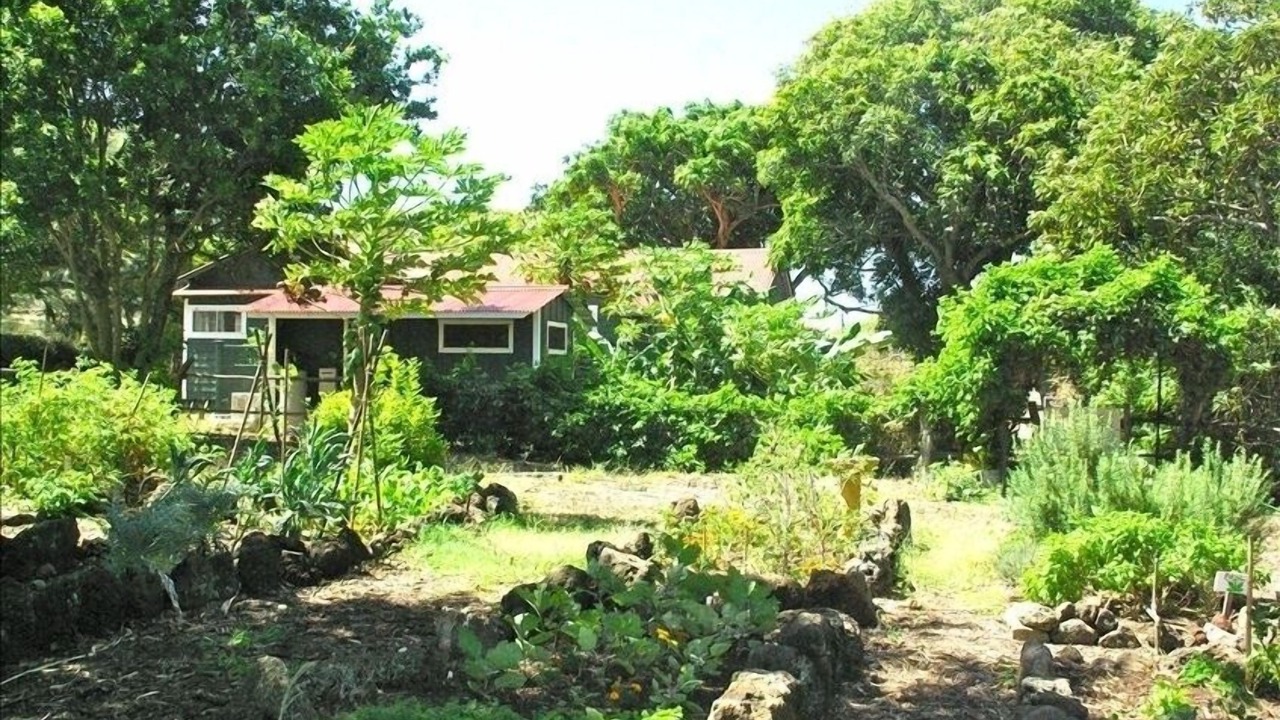Photo of Outdoor in Hawi