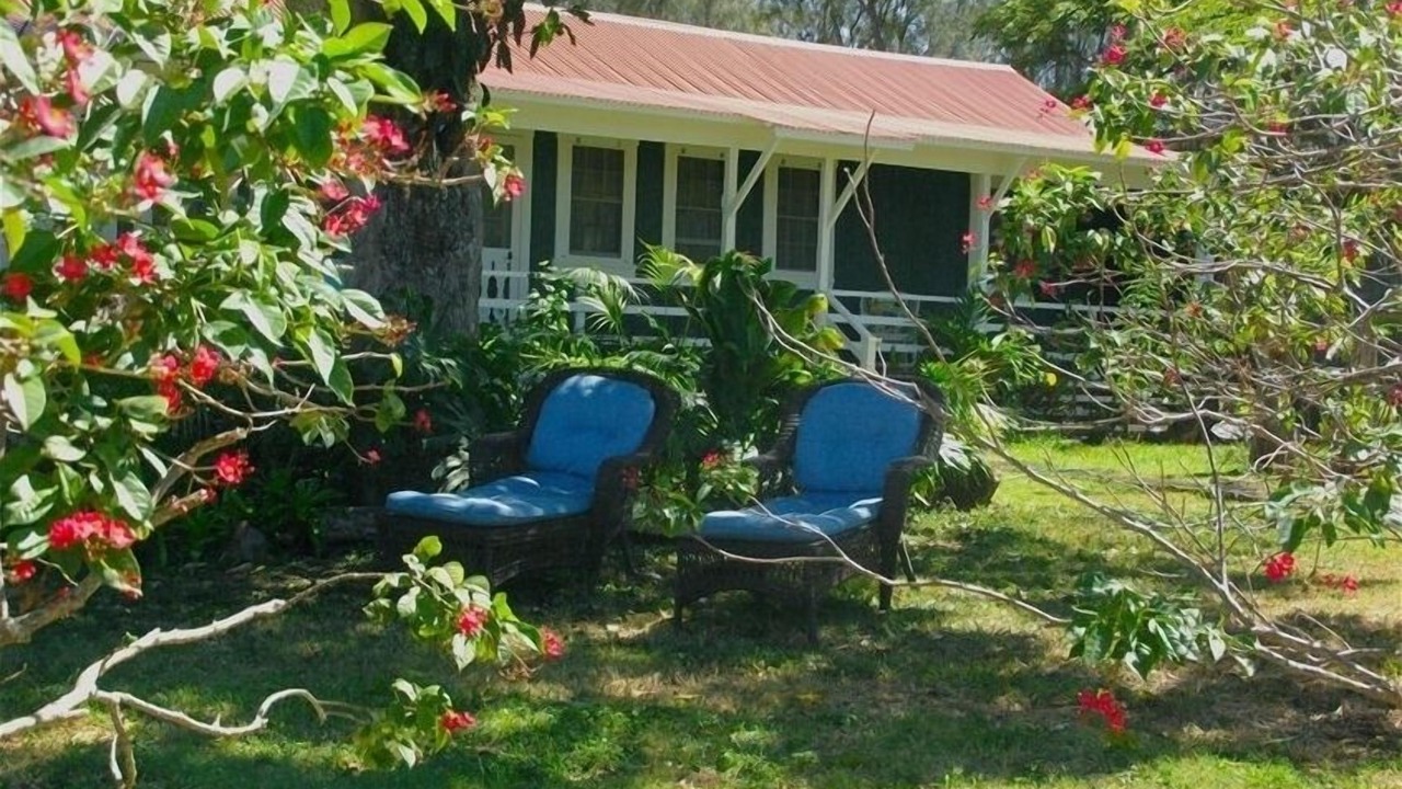 Photo of Others in Hawi
