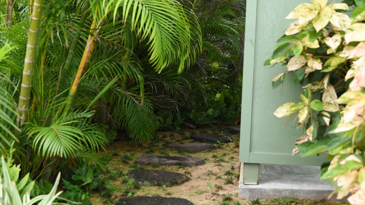 Photo of Outdoor in Waialua