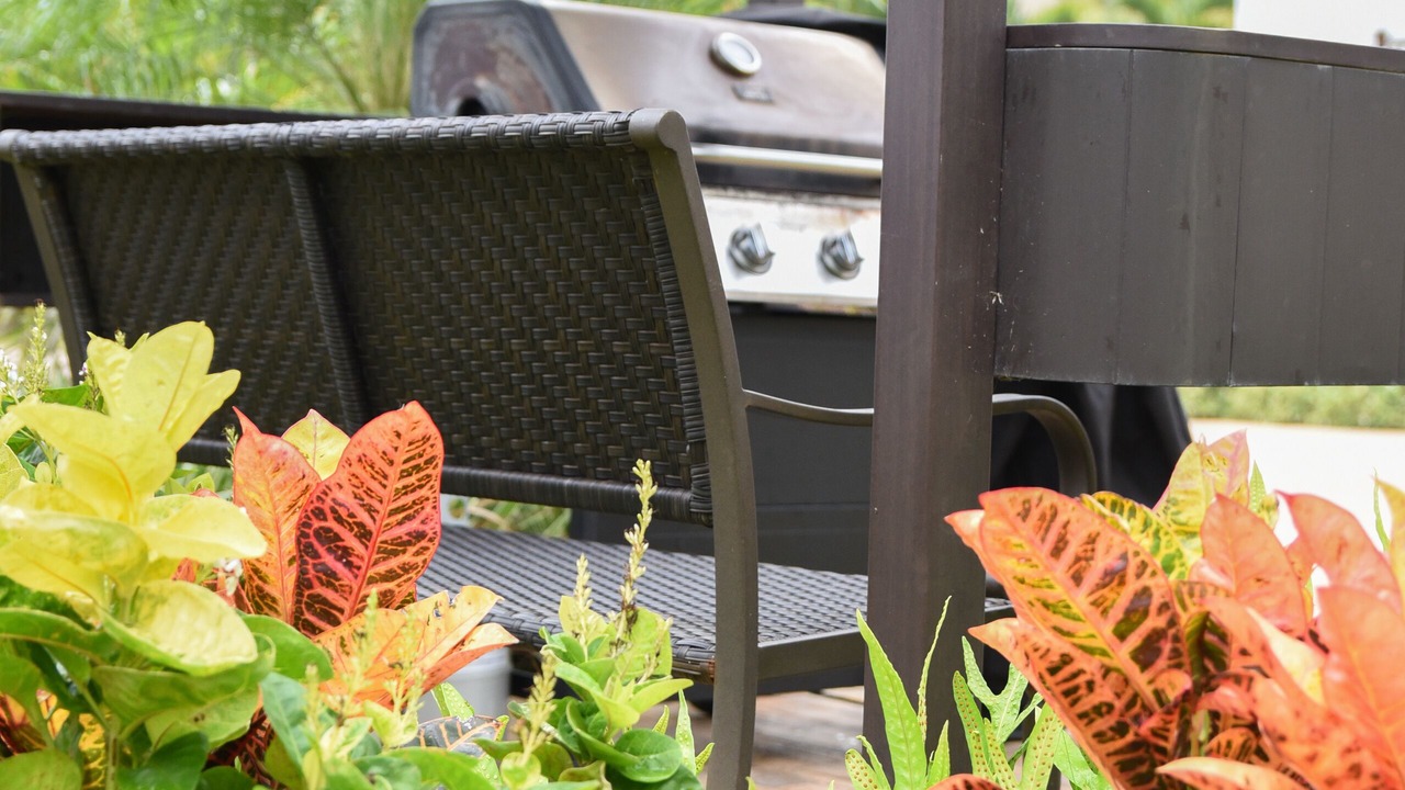 Photo of Outdoor in Waialua