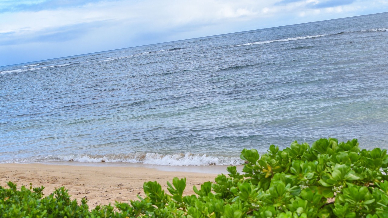 Photo of Others in Waialua