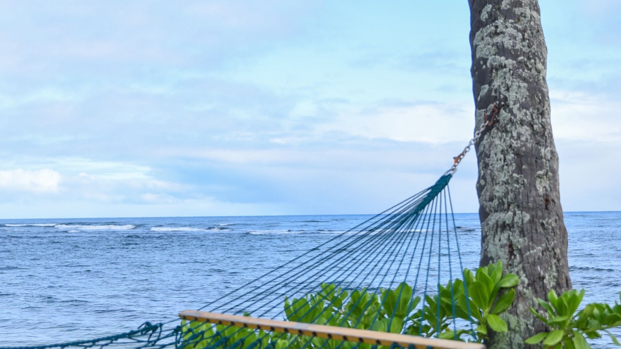 Photo of Others in Waialua