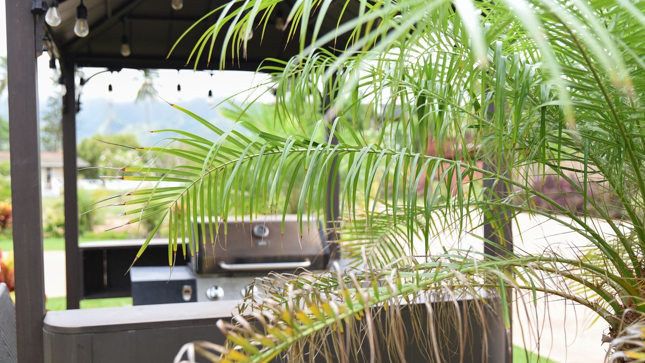 Photo of Outdoor in Waialua