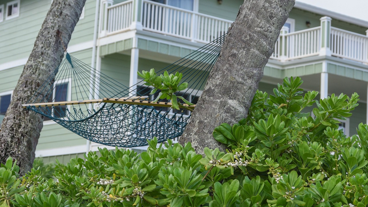 Photo of Outdoor in Waialua