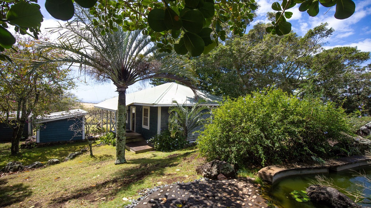 Photo of Others in Hawi