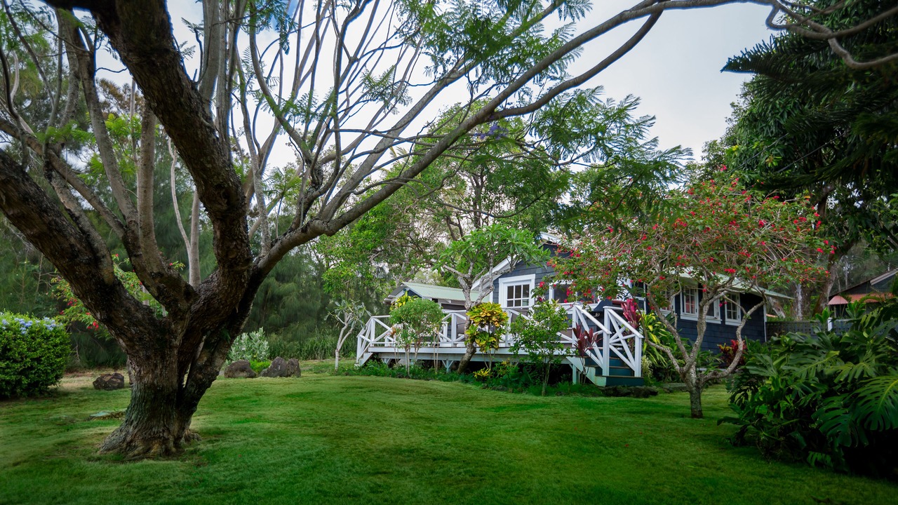 Photo of Outdoor in Hawi
