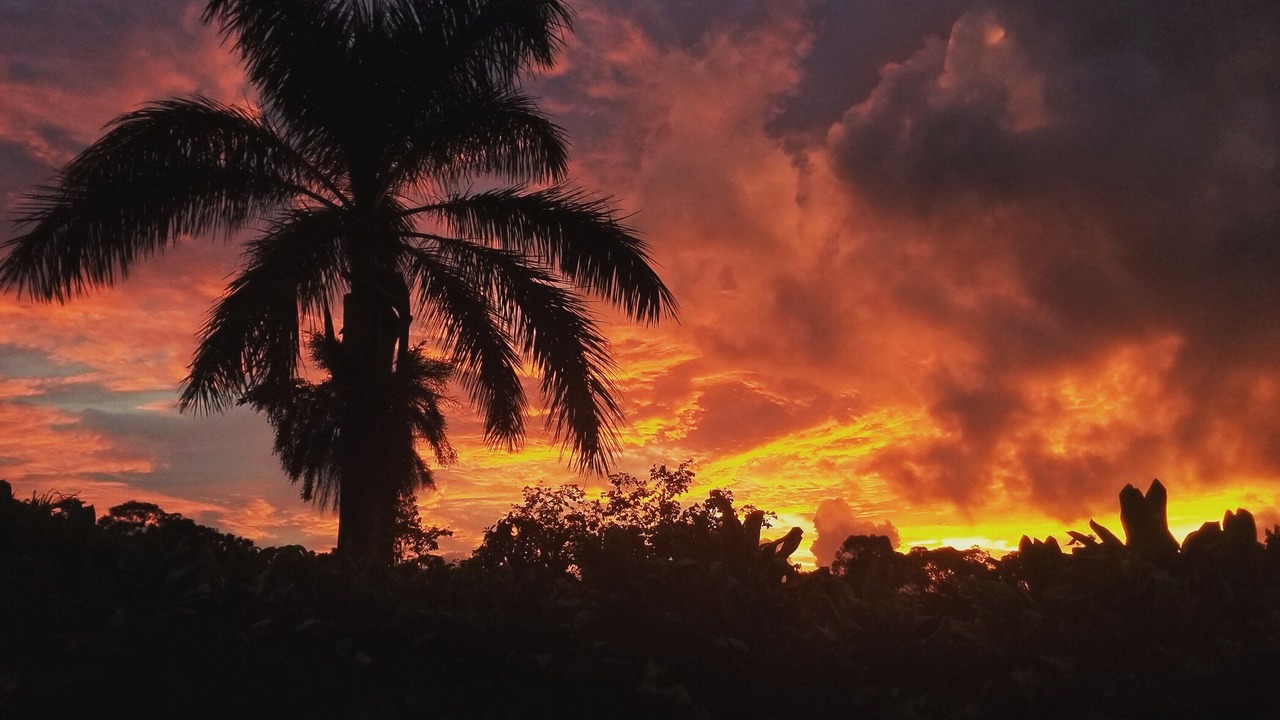 Photo of Outdoor in Pauwela