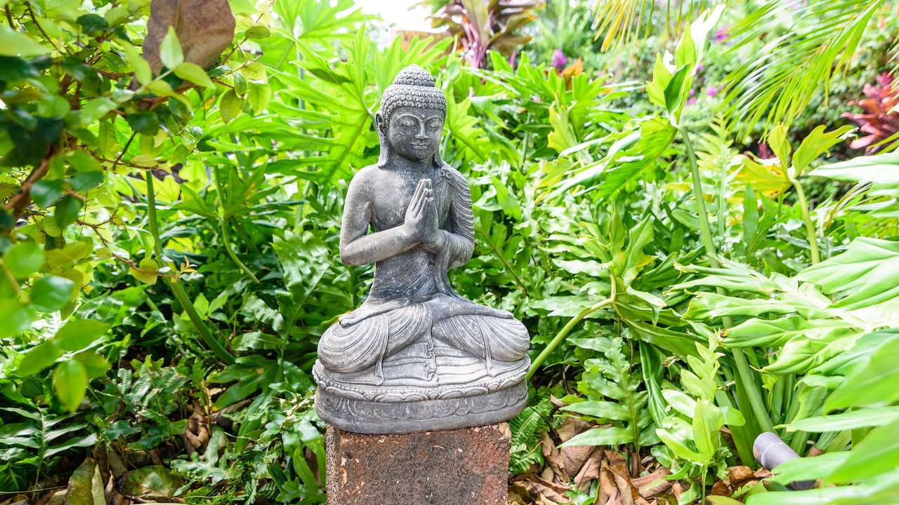 Photo of Outdoor in Paia