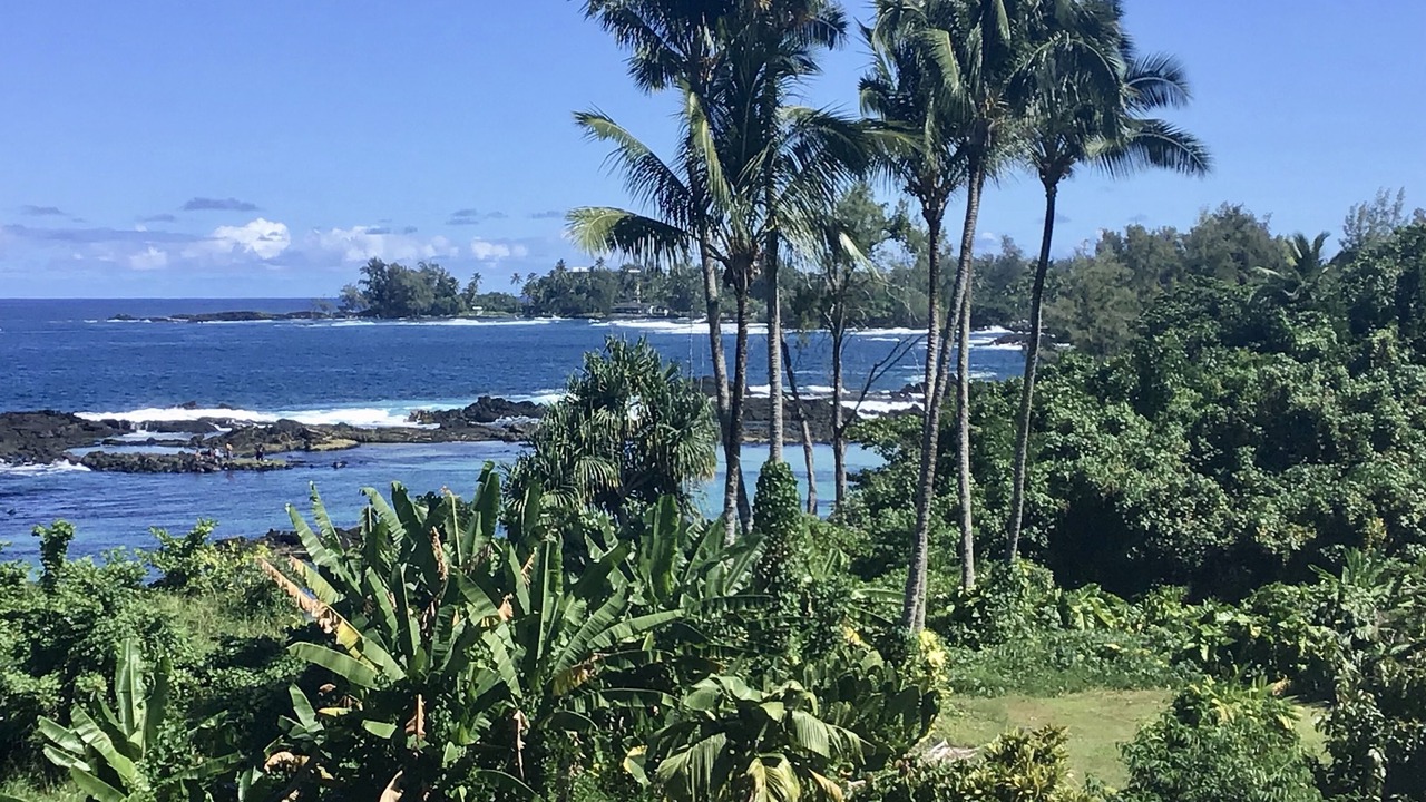 Photo of Others in Hilo