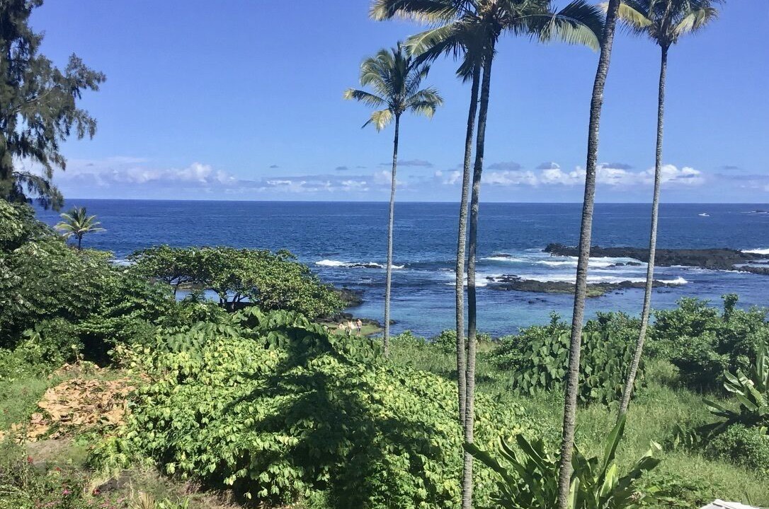 Photo of Others in Hilo