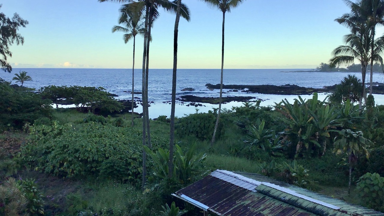 Photo of Others in Hilo