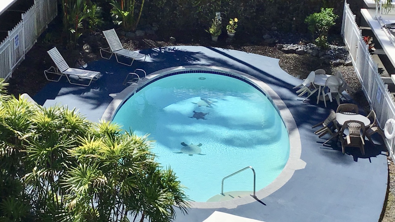 Photo of Outdoor in Hilo