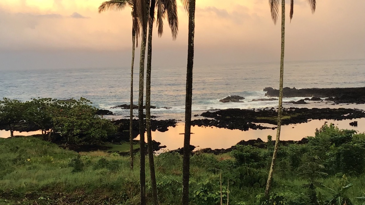 Photo of Outdoor in Hilo
