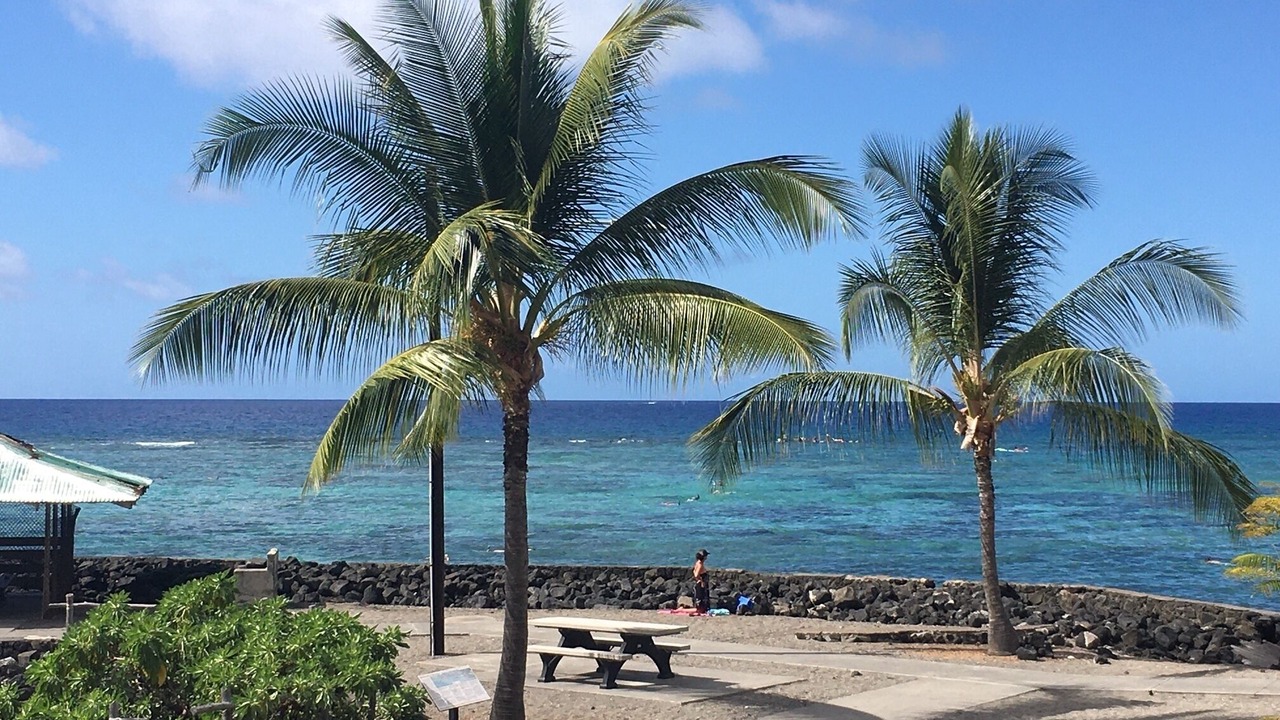 Photo of Others in Historic Kailua Village