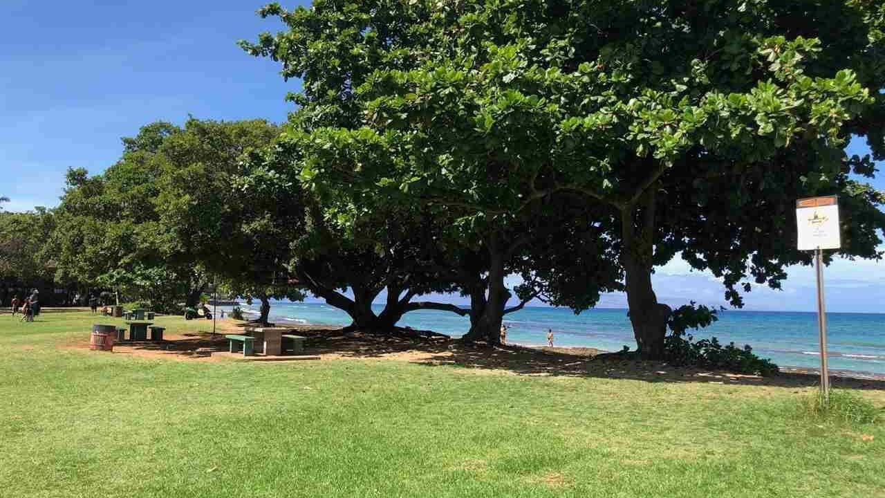Photo of Outdoor in Honokowai