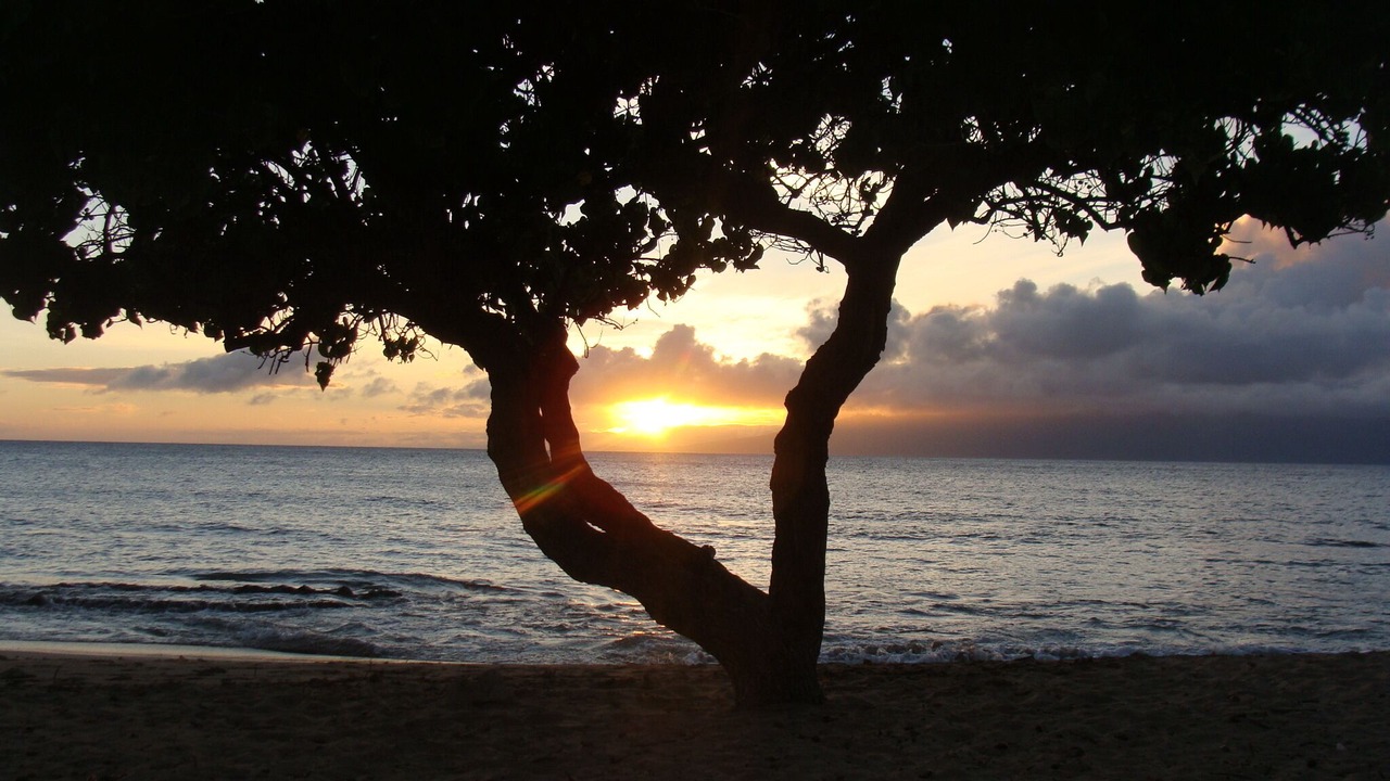 Photo of Others in Honokowai