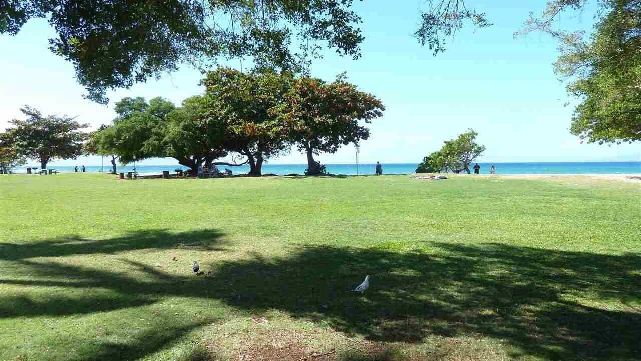 Photo of Outdoor in Honokowai