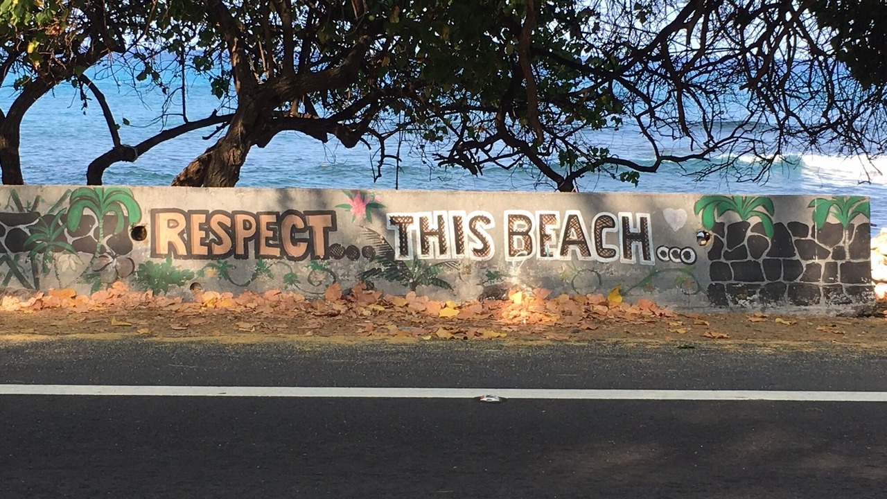 Photo of Outdoor in Kahaluu Bay